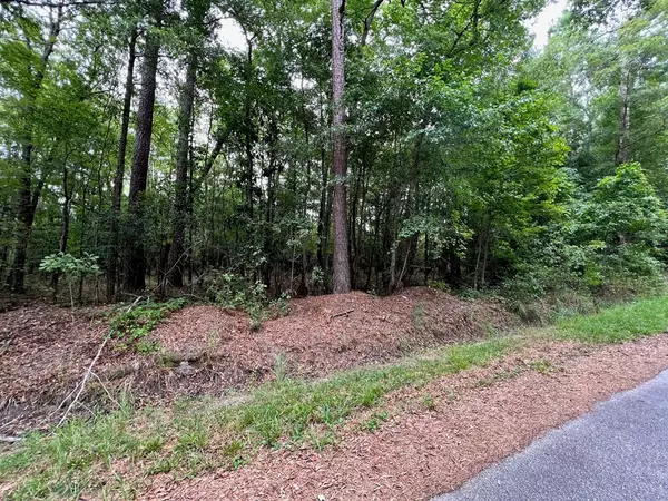 Pinewood, SC 29125,0 E Clark St/75 Big Loop RD Road