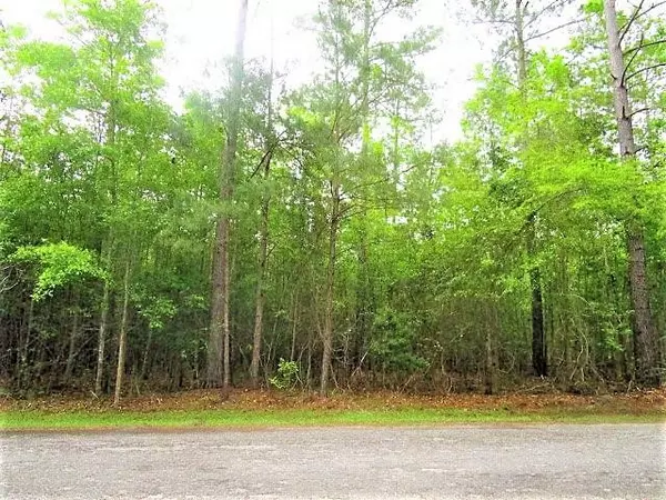 Elloree, SC 29047,Lot 6 Poplar Creek DR Drive