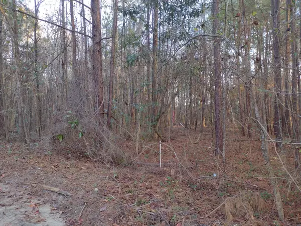 Summerton, SC 29148,0 Jasper LN Lane