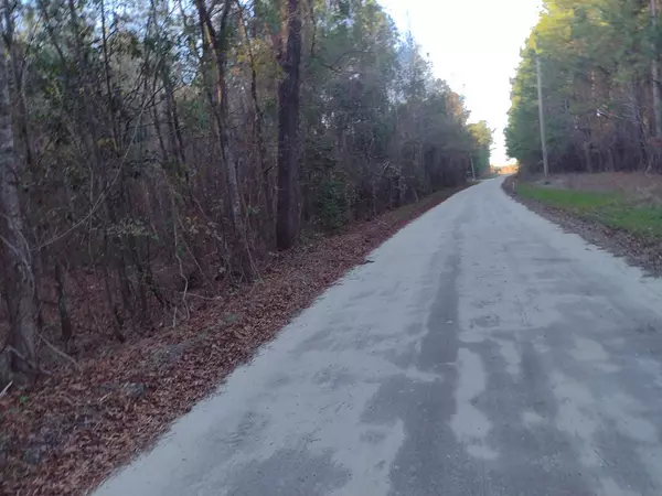 Summerton, SC 29148,0 Jasper LN Lane
