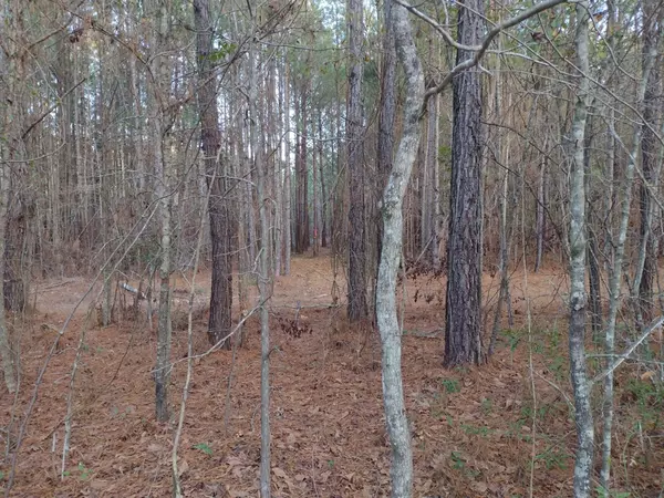 Summerton, SC 29148,0 Jasper LN Lane