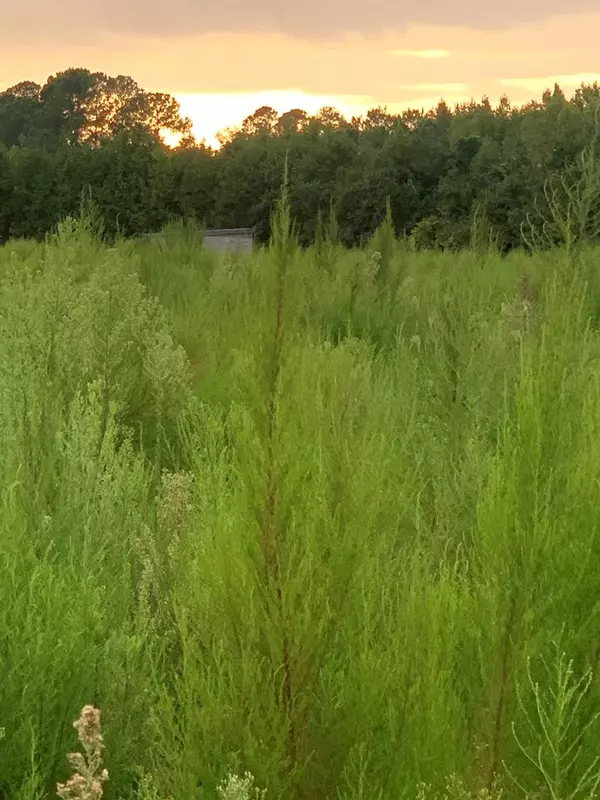 69 Pickle RD Road, Salters, SC 29590