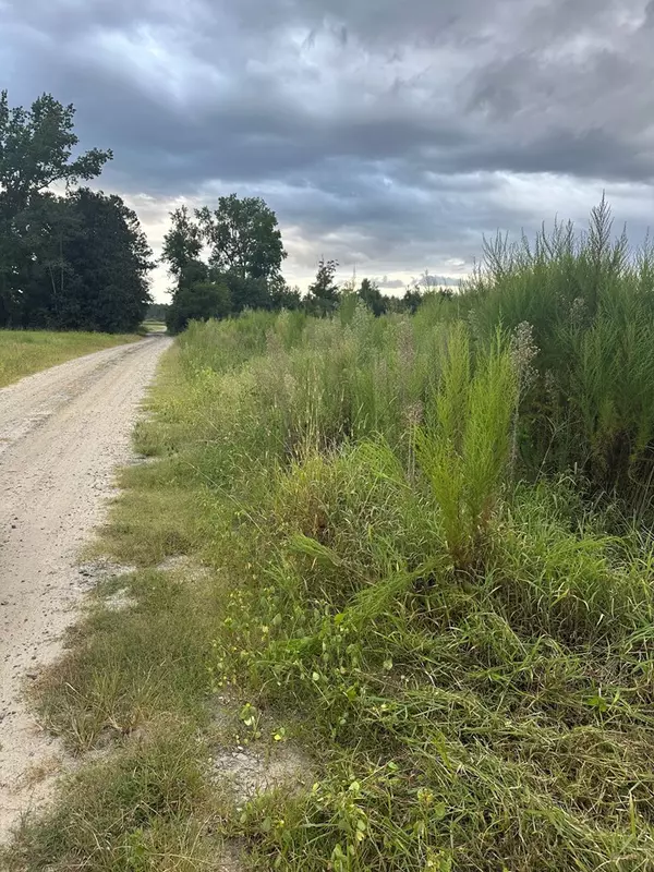 Salters, SC 29590,69 Pickle RD Road