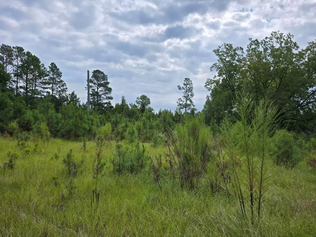 Rembert, SC 29128,459 Central School RD Road