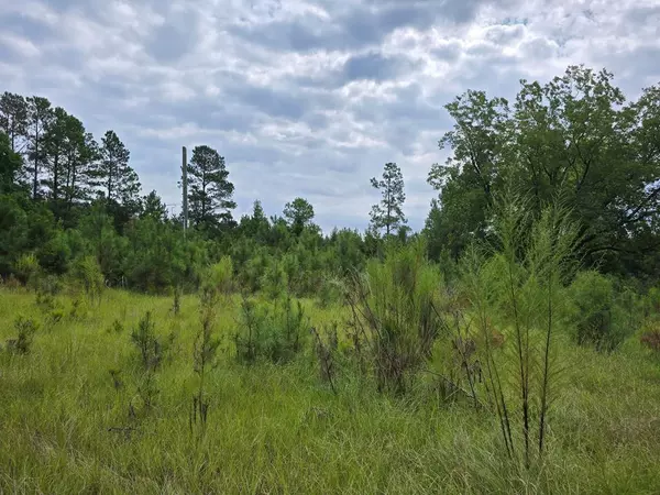 459 Central School RD Road, Rembert, SC 29128