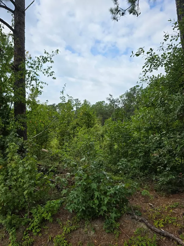 Rembert, SC 29128,TBD Central School RD Road