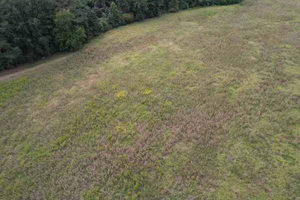 Manning, SC 29102,TBD Edgewood DR Drive