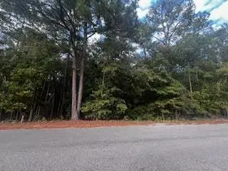 Summerton, SC 29148,1207 Edmonds WAY Way