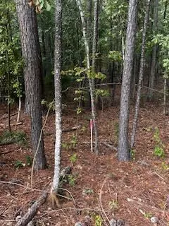 Summerton, SC 29148,1207 Edmonds WAY Way