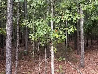 Summerton, SC 29148,1207 Edmonds WAY Way