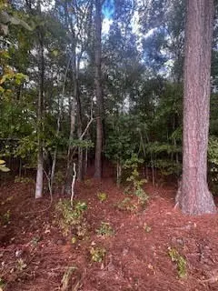 Summerton, SC 29148,1207 Edmonds WAY Way