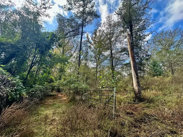 Hopkins, SC 29061,9933 Wylie RD Road