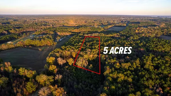 Summerton, SC 29148,3750 William Brunson RD Road