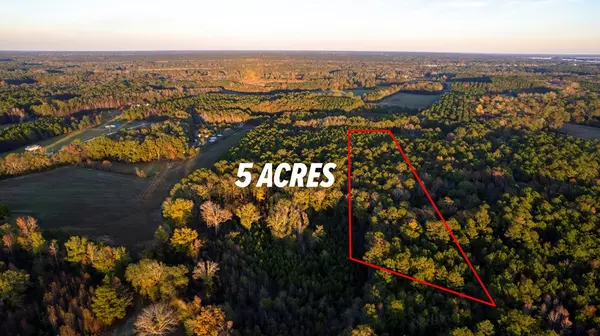 Summerton, SC 29148,TBD William Brunson RD Road