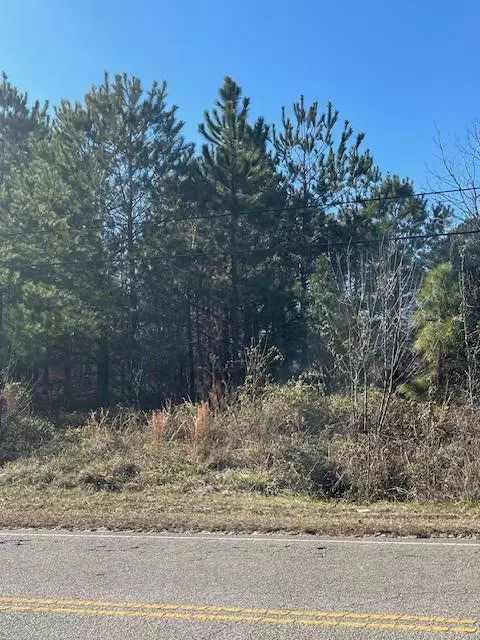 Manning, SC 29102