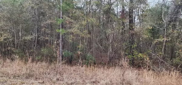 Reevesville, SC 29471,0 Independent School RD Road