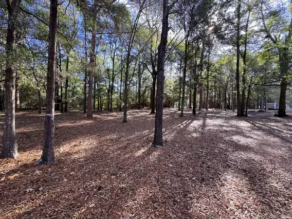 Summerton, SC 29148,1144 Birch DR Drive