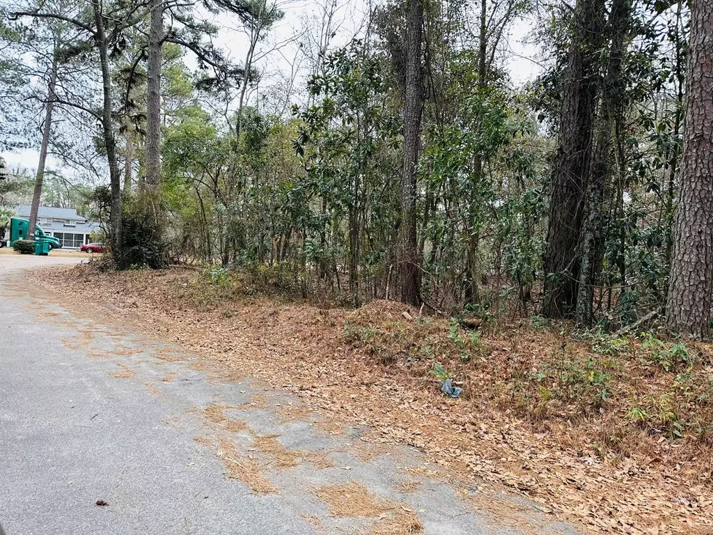 Olanta, SC 29114,TBD Williamsburg AVE Avenue