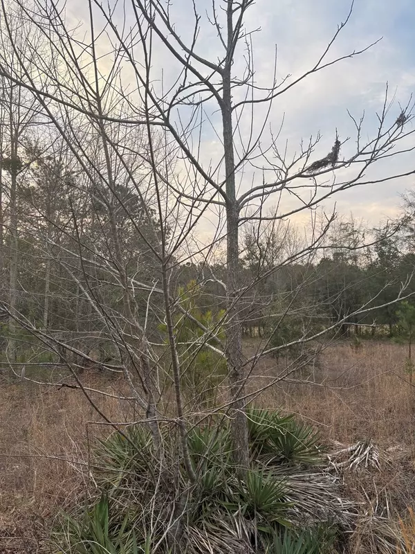 Sumter, SC 29150,2515 Tindal RD Road