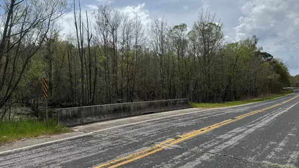 Manning, SC 29102,TBD Brewer RD Road