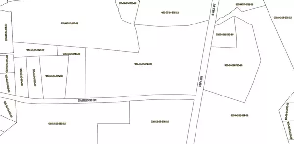 Manning, SC 29102,0 Haseldon DR Drive