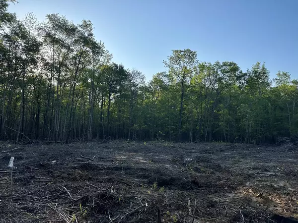 Alcolu, SC 29001,TBD Sumter HWY Highway