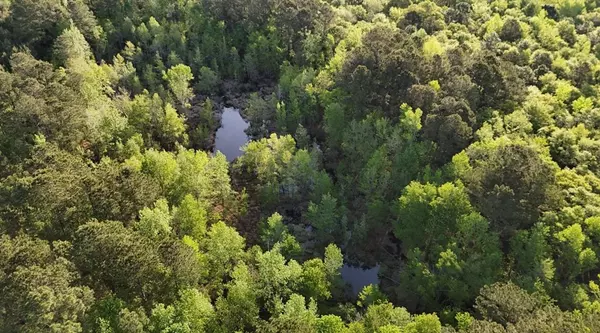 Alcolu, SC 29001,TBD Sumter HWY Highway