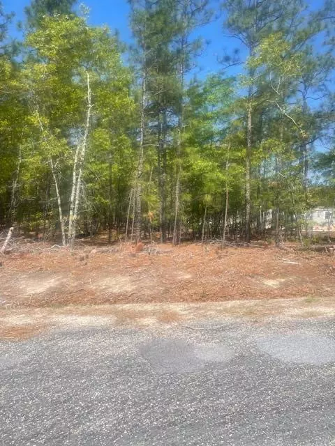 Rembert, SC 29128,5605 Halley RD Road