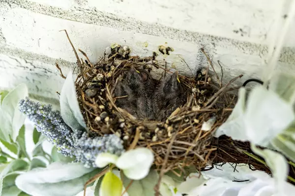 Sumter, SC 29150,2 Hilliard DR Drive