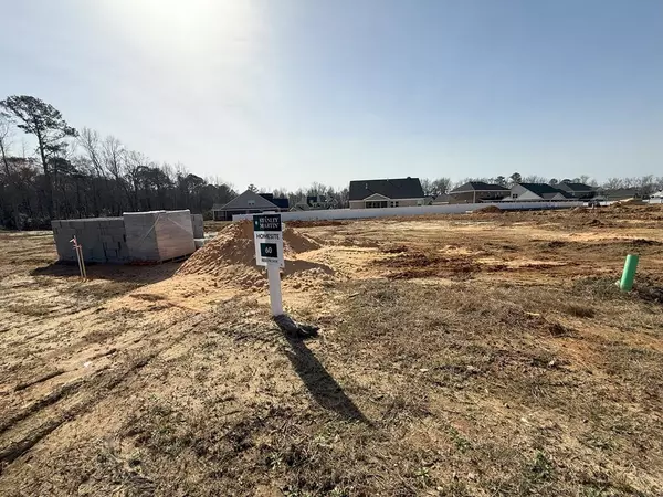 Sumter, SC 29150,3355 Lespedeza CT Court