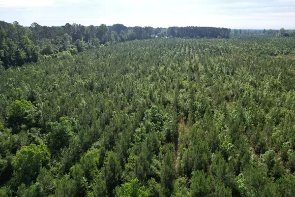 Manning, SC 29102,20Ac-TBD Highway 260
