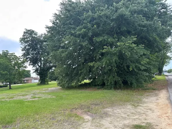 Turbeville, SC 29162,Lots 3&4 Atkinson ST Street