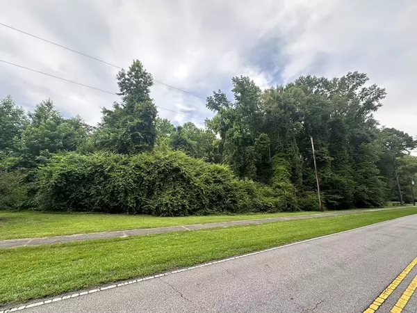 Turbeville, SC 29162,Lot B Atkinson ST Street
