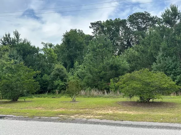 Turbeville, SC 29162,Lot B Atkinson ST Street