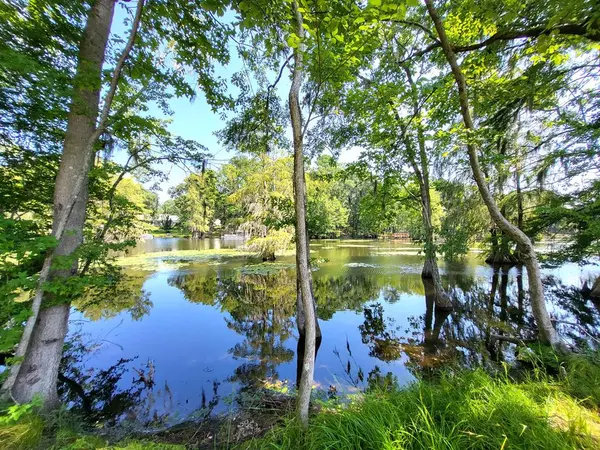 Elloree, SC 29047,142 Parklin LN Lane