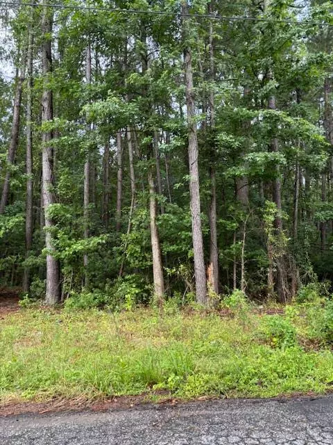 230 Wilson ST Street, Sumter, SC 29150