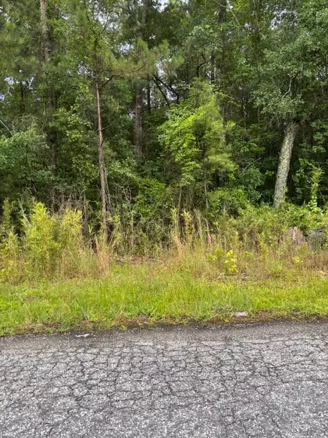 Sumter, SC 29150,230 Wilson ST Street