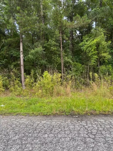 Sumter, SC 29150,230 Wilson ST Street