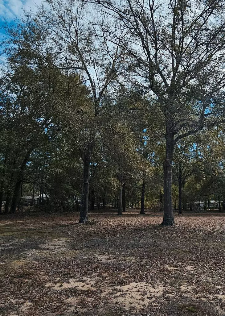 Summerton, SC 29148,TBD Princess Pond