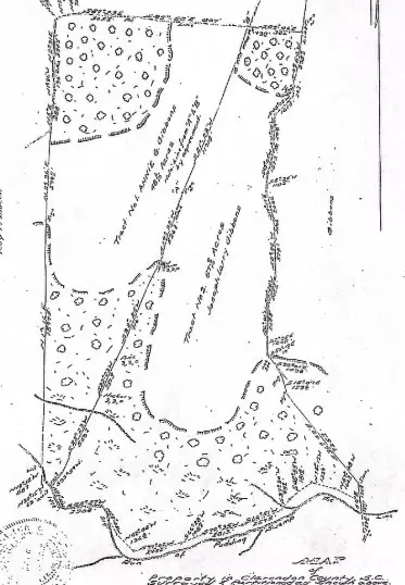 Turbeville, SC 29162,TBD Puddin Swamp RD Road