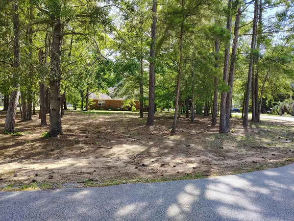 Manning, SC 29102,823 Bentwood CIR Circle