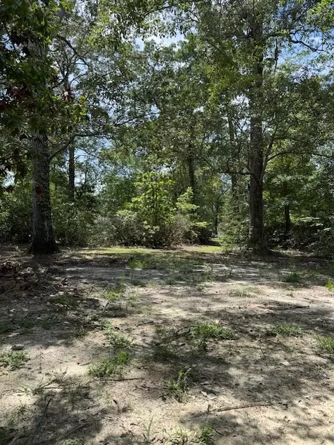 Eutawville, SC 29048,133 Rutledge Drive DR Drive