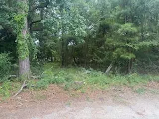 Manning, SC 29102,1446 Litzler DR Drive