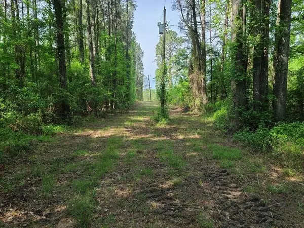 Dalzell, SC 29040,0 Fish Road