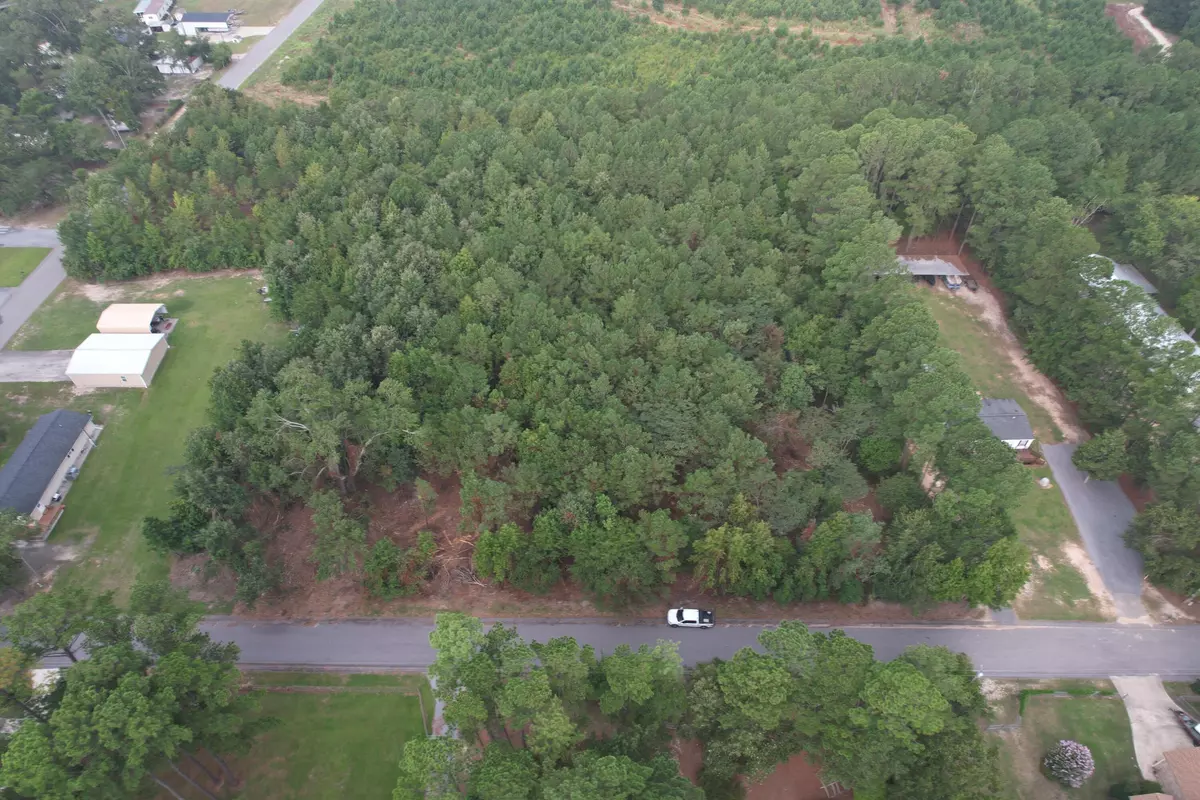 Summerton, SC 29148,Lots 2 & 2a Hammond Road