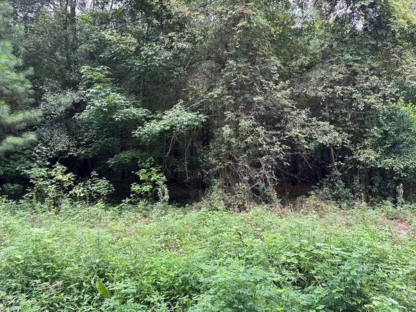 Eutawville, SC 29048,200 Barkley ST Street