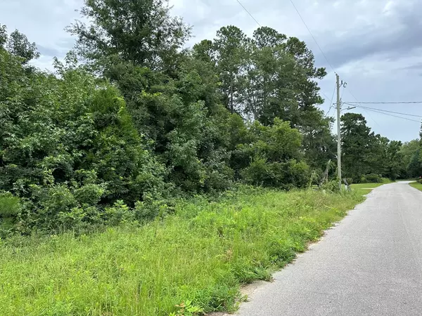 Eutawville, SC 29048,200 Barkley ST Street