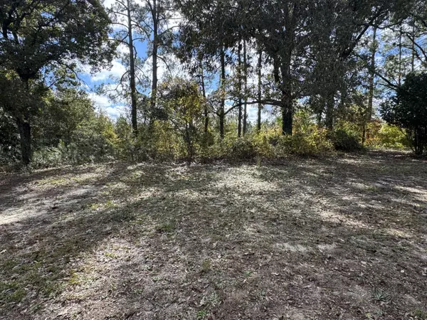 Bishopville, SC 29010,496 Manville Saint Charles RD Road