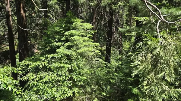 Cedarpines Park, CA 92322,0 Burnt Mill Canyon Rd