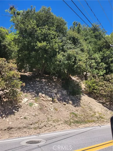 Lake Arrowhead, CA 92352,1187 Brentwood Drive